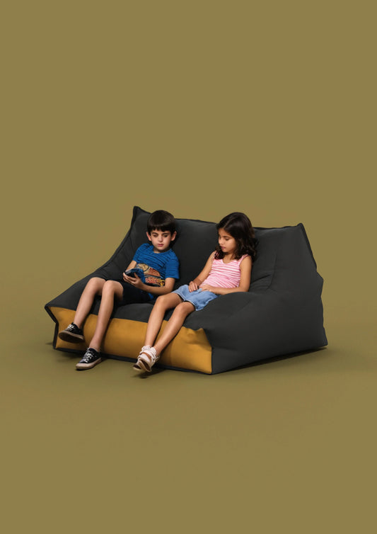 Designer Bean Bags for Your Home?
