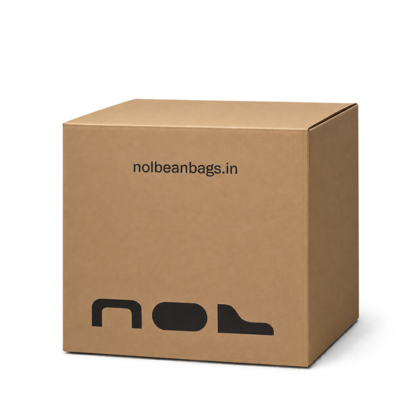 A brown cardboard box with 'nolbeanbags.in' printed in black near the top and a large stylized 'nol' logo at the bottom, shown on a clean white background.