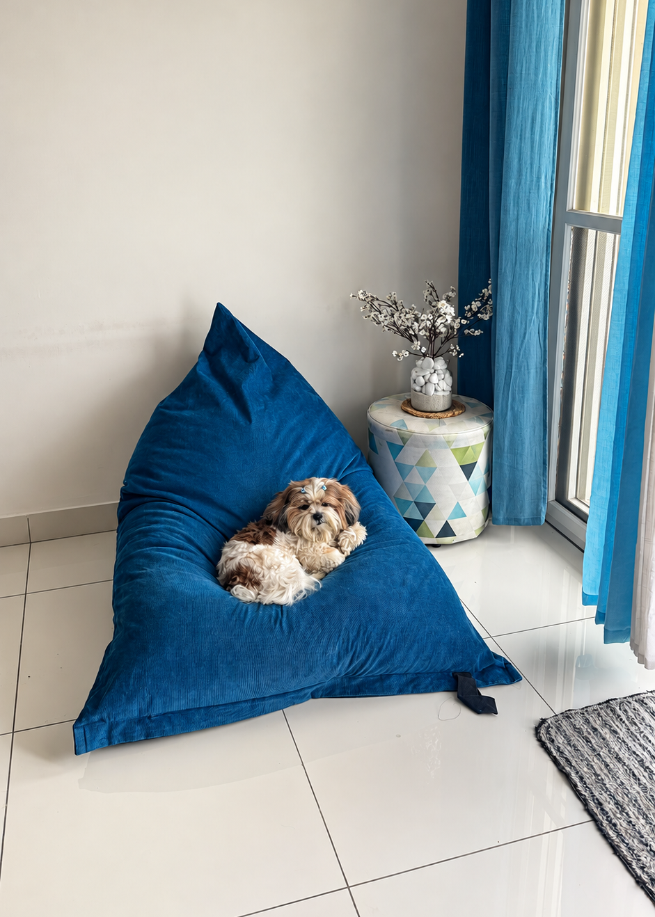 dog on bean bag